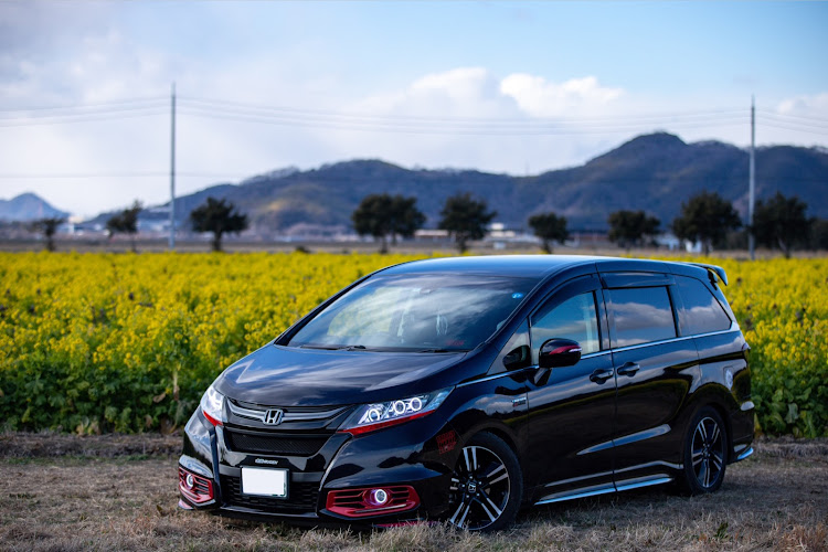 オデッセイの最強寒波襲来・強風の中での撮影・菜の花畑と愛車・これはカレンダー用には向かんね・久しぶりのカメ活は楽しい🤤に関するカスタム事例の投稿画像1枚目