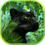 Cover Image of Download Panther Jungles Live Wallpaper 1.0 APK