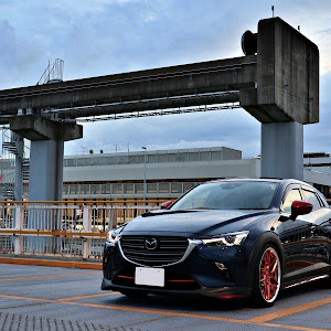 CX-3 DKEFW