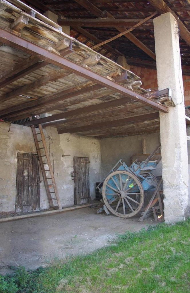 El caret in curt. di Alessandro Marani