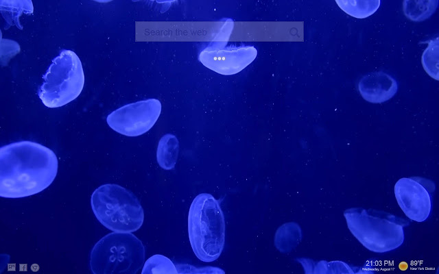 Jellyfish LIVE Themes HD NewTab