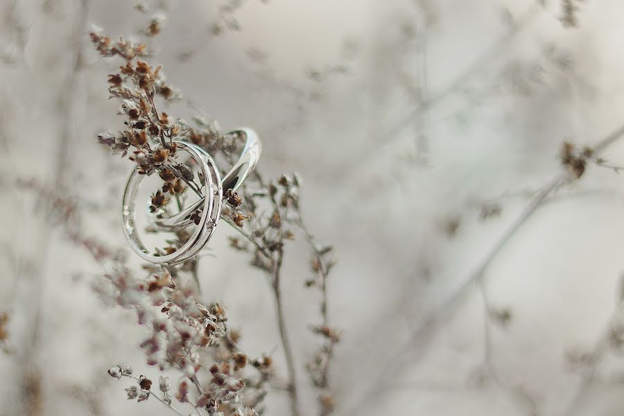 Fotógrafo de casamento Tatyana Bruleva (tanyabru). Foto de 11 de fevereiro 2016