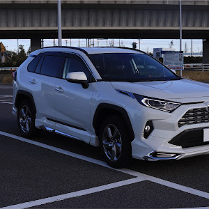 RAV4 ACA31W