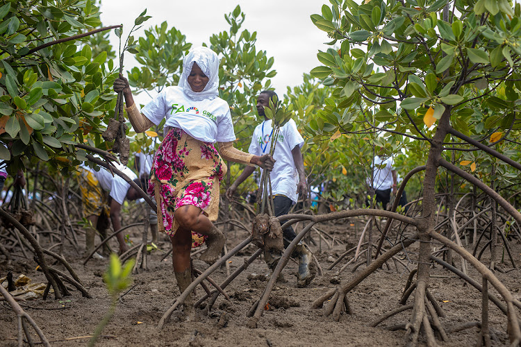 A youth member from Jomvu at the Mkupe creek in Jomvu on Saturday.