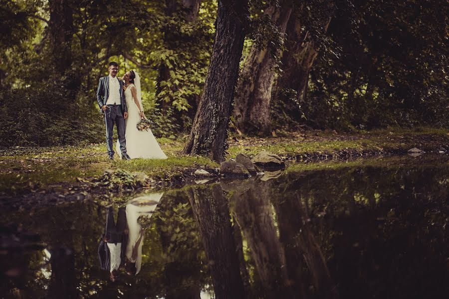 Hochzeitsfotograf Balázs Horváth (bali). Foto vom 18. September 2018