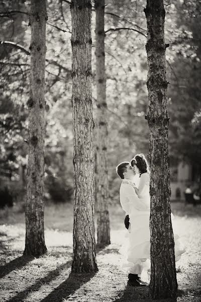 Fotografo di matrimoni Vladimir Shkal (shkal). Foto del 21 maggio 2016