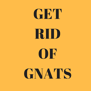 Download Get rid of gnats For PC Windows and Mac