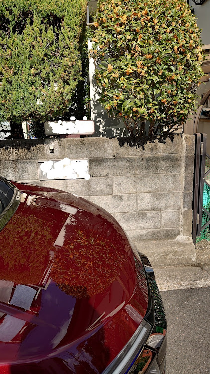 ステップワゴンの洗車、コーティング・ヌルテカ・濃色車に関するカスタム事例の投稿画像1枚目