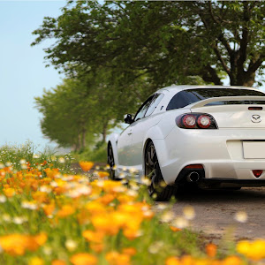 RX-8 SE3P