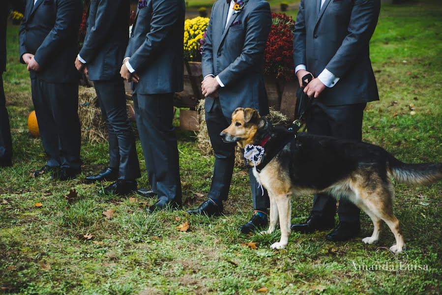 Fotógrafo de casamento Amanda Luisa Nicastro (amandaluisanic). Foto de 7 de setembro 2019