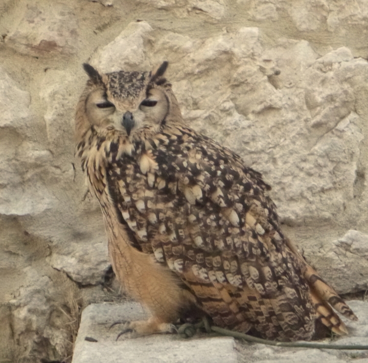 Naturale sintonia! di saretta.estrella