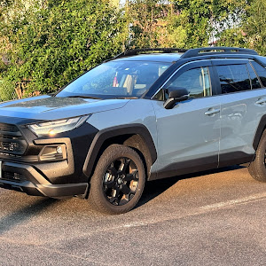 C-HR ZYX11