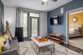 Modern apartment living room featuring a cozy sofa, decorative rug, stylish coffee table, and bright natural light.