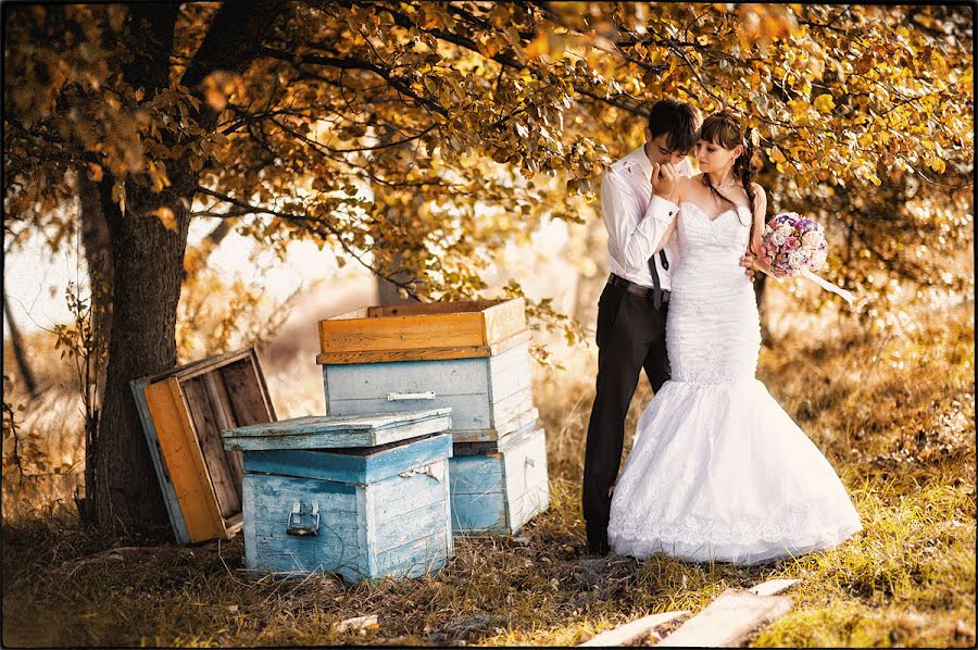 Wedding photographer Andrey Beshencev (beshentsev). Photo of 28 December 2012