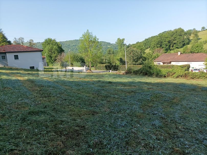 Vente terrain  1065 m² à Livinhac-le-Haut (12300), 37 000 €