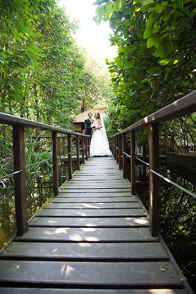 Wedding photographer Olga Popova (popovaolga). Photo of 14 September 2016