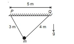 Physical Pendulum