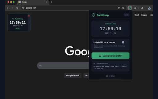 AuditSnap screenshot 1