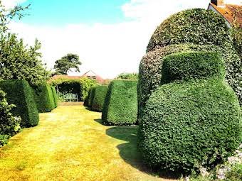 Hedge cutting album cover