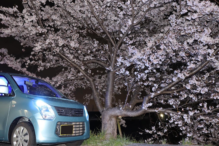 ワゴンRのお久しぶりです・桜とコラボ🌸・外向きオーディオ・これからも宜しくお願い致しますに関するカスタム事例の投稿画像3枚目