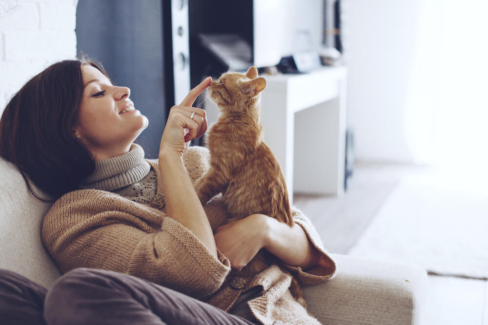 small cat plays with young woman