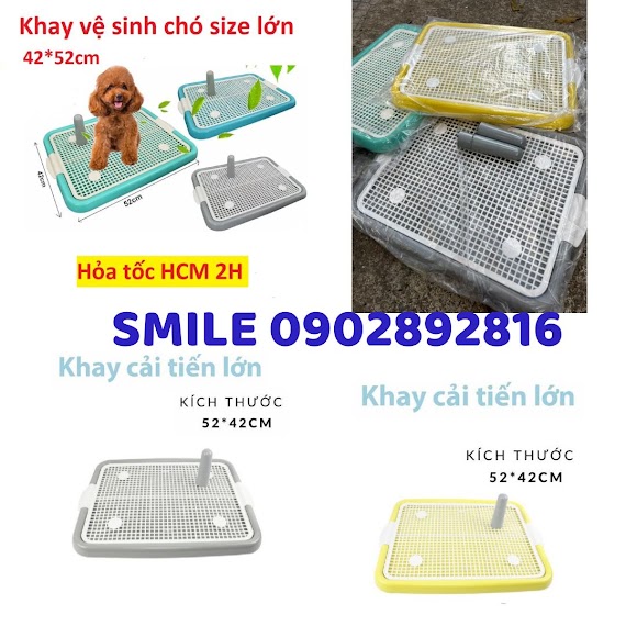 [Mẫu Mới] Khay Vệ Sinh Cho Chó Size Lớn 42X52Cm Kèm Trụ (Chó Dưới 10Kg)