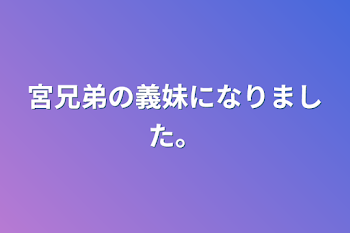 宮兄弟の義妹になりました。