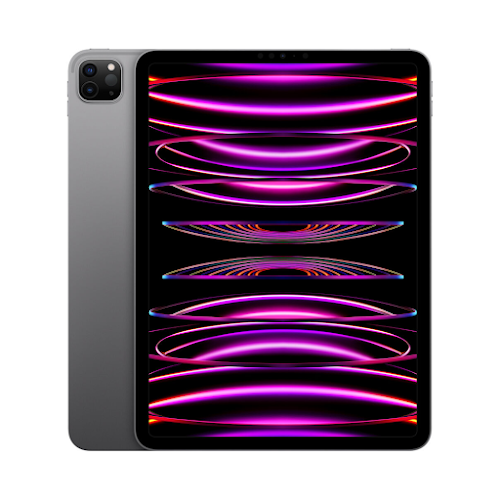 iPad Pro 11" M2 Wifi + Cellular 2TB (MNYL3ZA/A) (Grey)