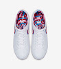 sb blazer low parra collection