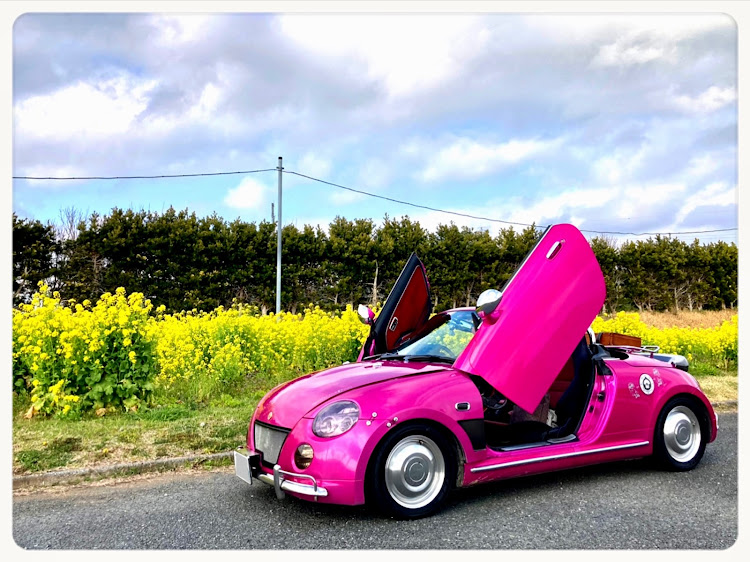 コペンのADVAN  NEOVA・菜の花畑・南房総・DIY・エンジンルーム清掃に関するカスタム事例の投稿画像3枚目