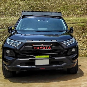 RAV4 MXAA54