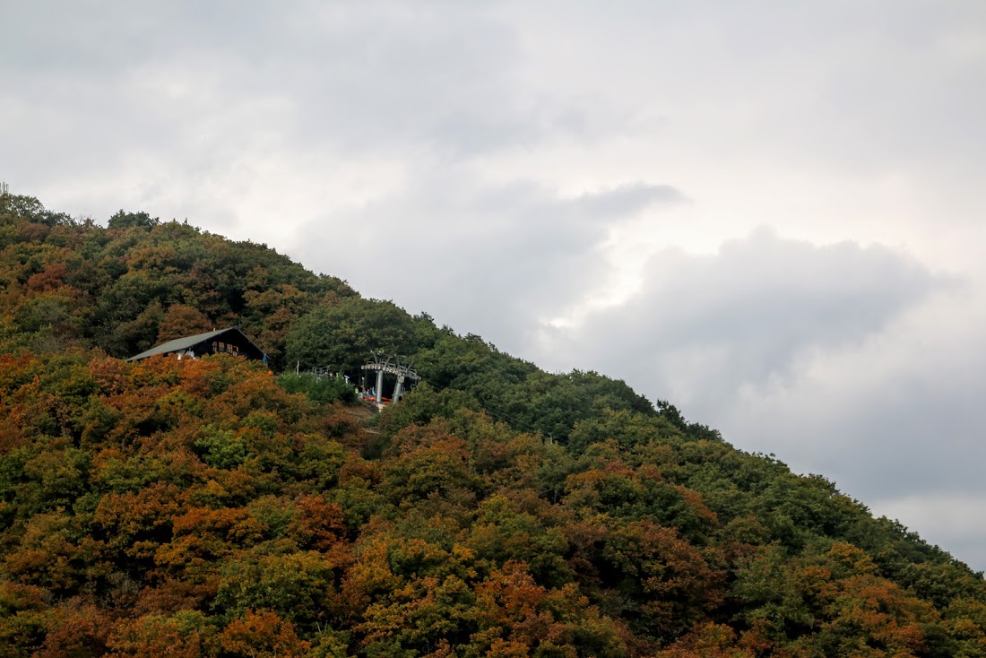 Vianden - Veiner Nëssmoort 2015