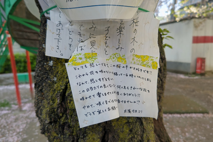 eKスペースカスタムのCUSTOM雅FAMILY・桜の木を伐採反対・住民の一声で・いつもつまらん投稿ですまん😢⤵️⤵️に関するカスタム事例の投稿画像3枚目