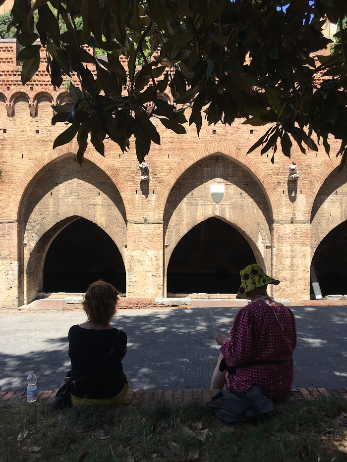 FImmagine suggestiva della Fontebranda, sotto la Basilica di San Domenico