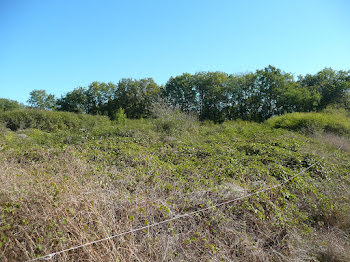 terrain à Parisot (82)