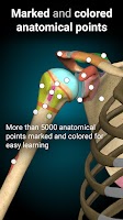 Anatomy Learning - 3D Anatomy Screenshot