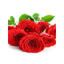 Lovely Roses Chrome extension download