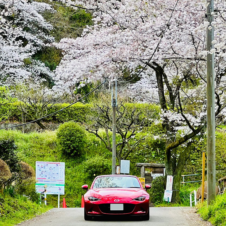 の投稿画像2枚目