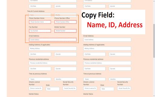 Copy Fields Data - CTH