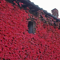 Finestra tra il rosso di 