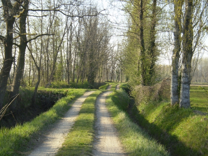 Country road di Cisco1979