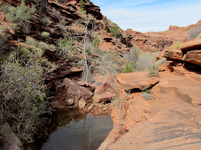 Pothole in a small canyon