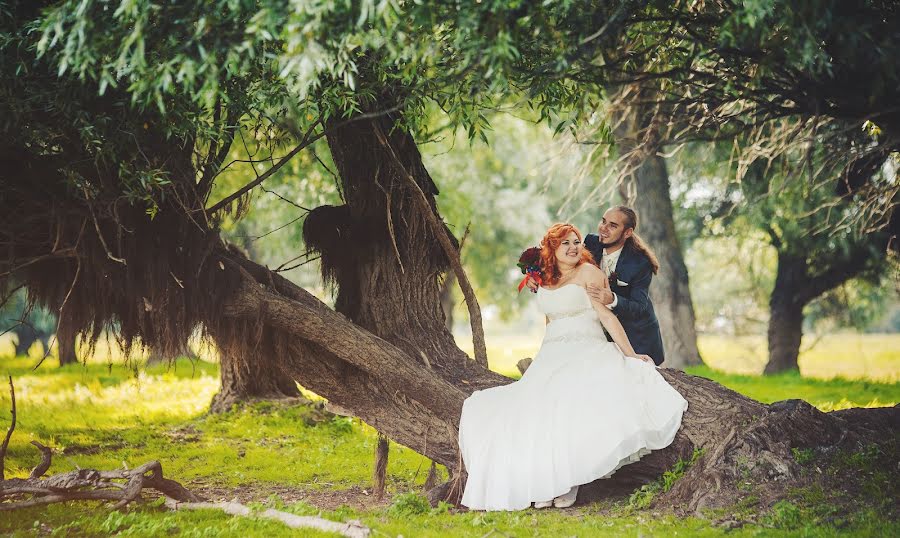 Fotógrafo de casamento Denis Arakhov (denisarahov). Foto de 6 de abril 2014