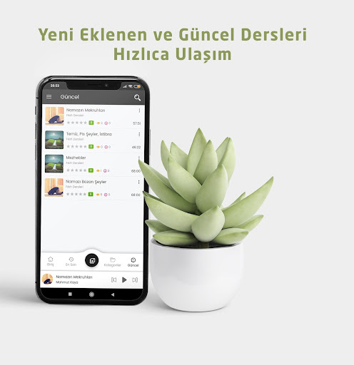 İlim Dersleri