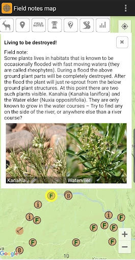 Kruger Park map and wildlife field guide