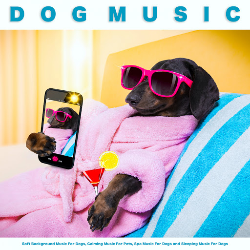 Relaxing Music For Dogs YouTube Music