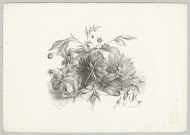 Rozen, dahlia's en fuchsia