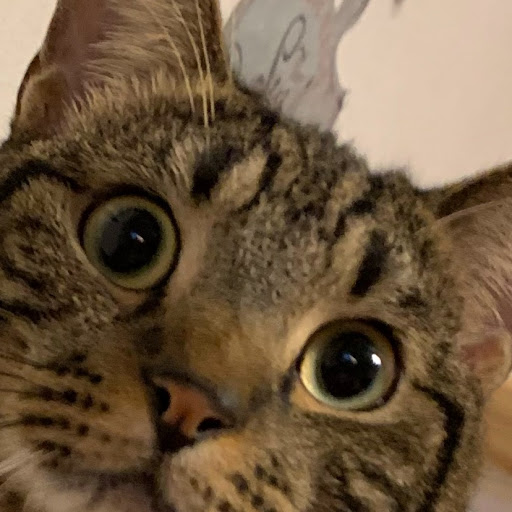 やば蔵のプロフィール画像