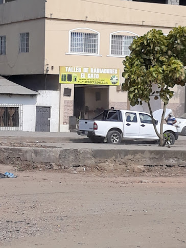 Opiniones de Taller de Radiadores el gato en Guayaquil - Taller de reparación de automóviles