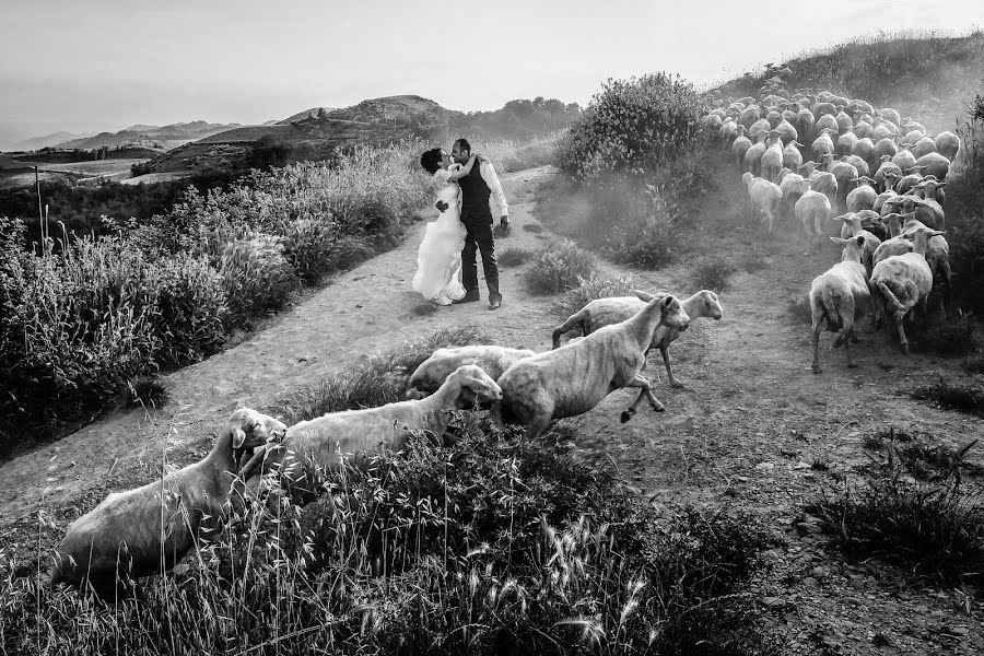 Fotógrafo de casamento Werther Scudellari (scudellari). Foto de 14 de abril 2015